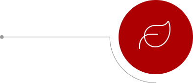 Premium Ingredient Selection