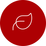 Premium Ingredient Selection