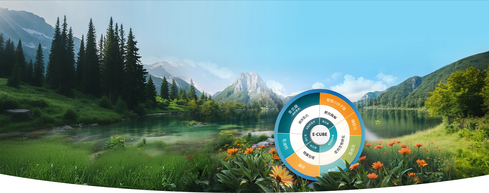 E-Cube Bioinspired Efficacy Technology Platform