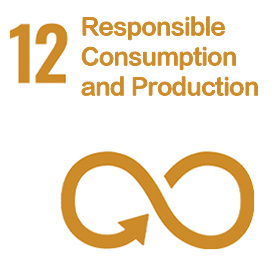 Responsible Consumption and Production