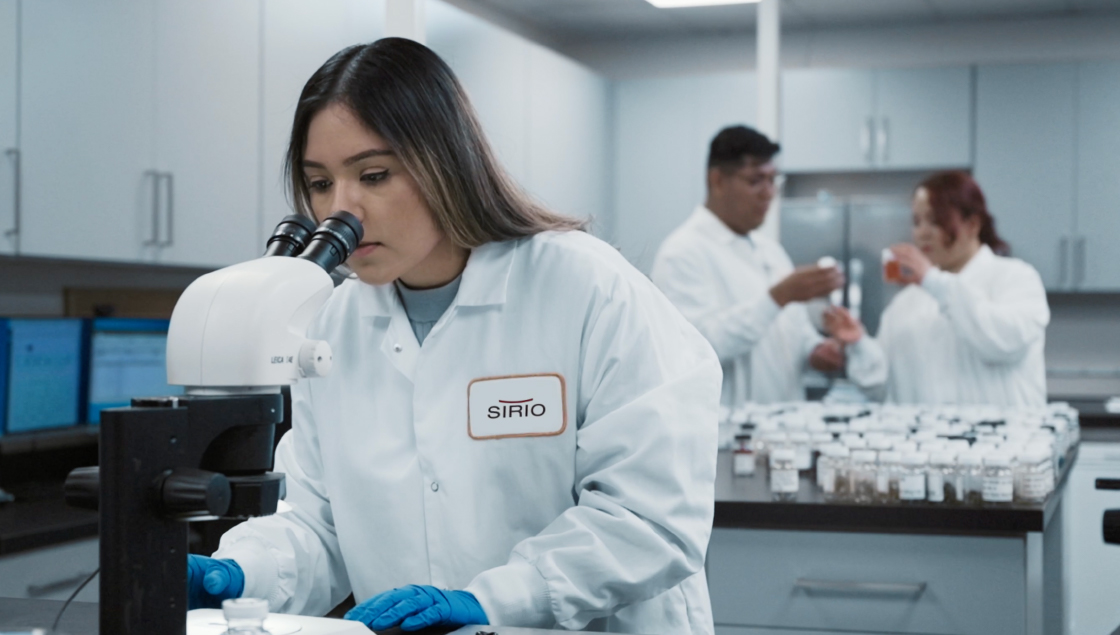 复合型研发团队